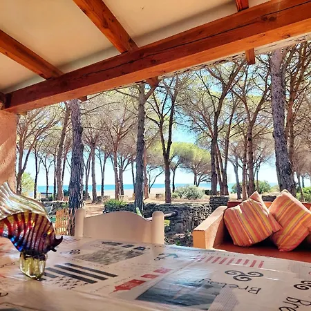 Beachfront Sea & Garden - 2br - Ac - Wifi - Bbq - Parking - Pet Friendly