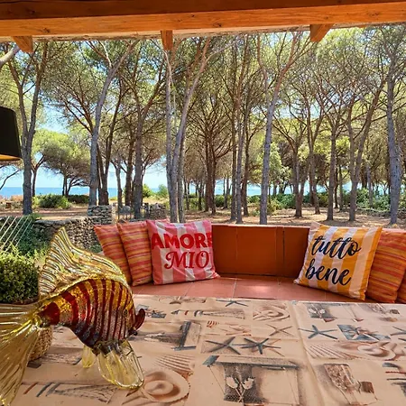 Beachfront Sea & Garden - 2br - Ac - Wifi - Bbq - Parking - Pet Friendly